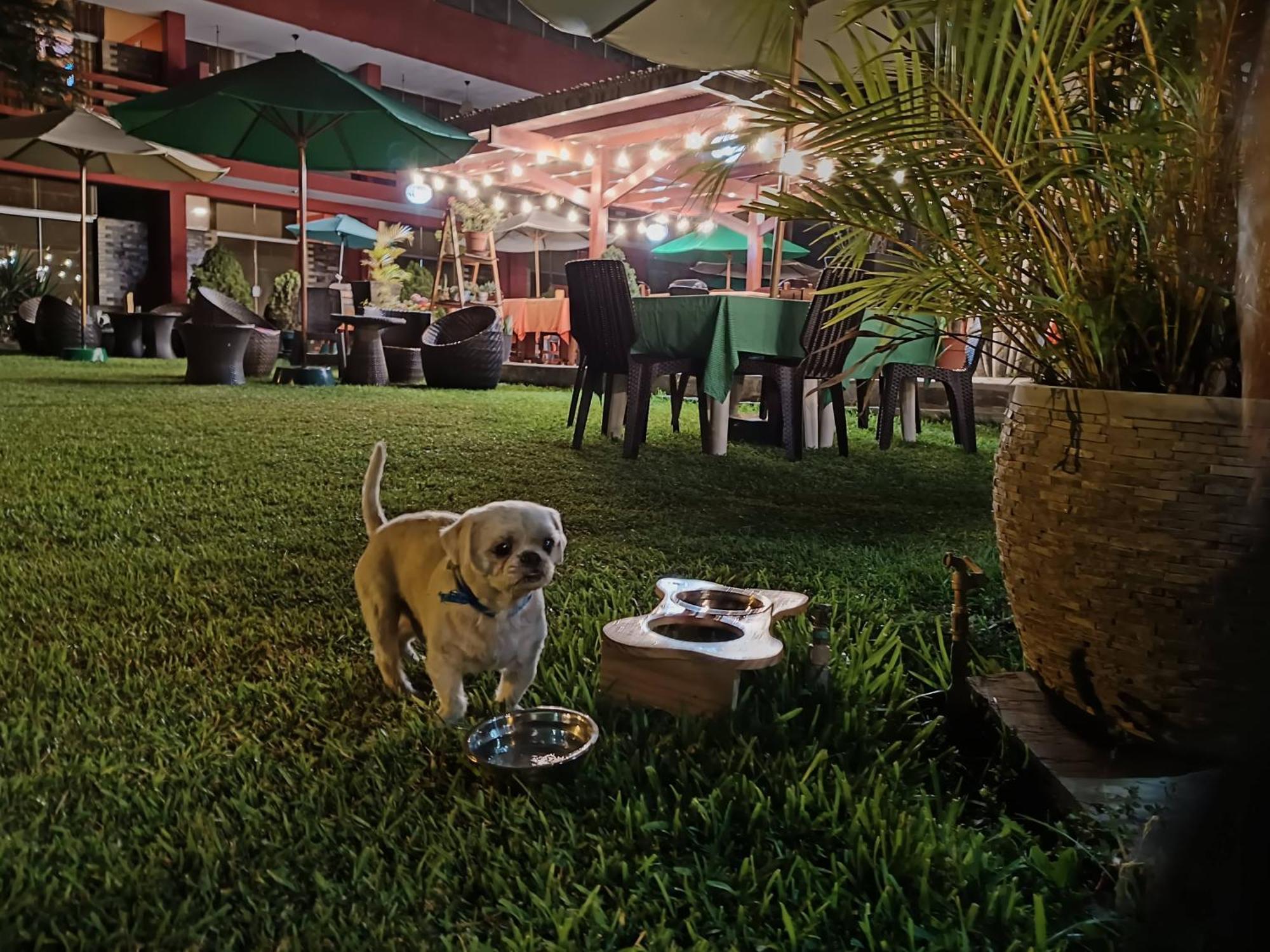Huertalejandro Restaurante Campestre Y Hospedaje سيينيغيلا المظهر الخارجي الصورة