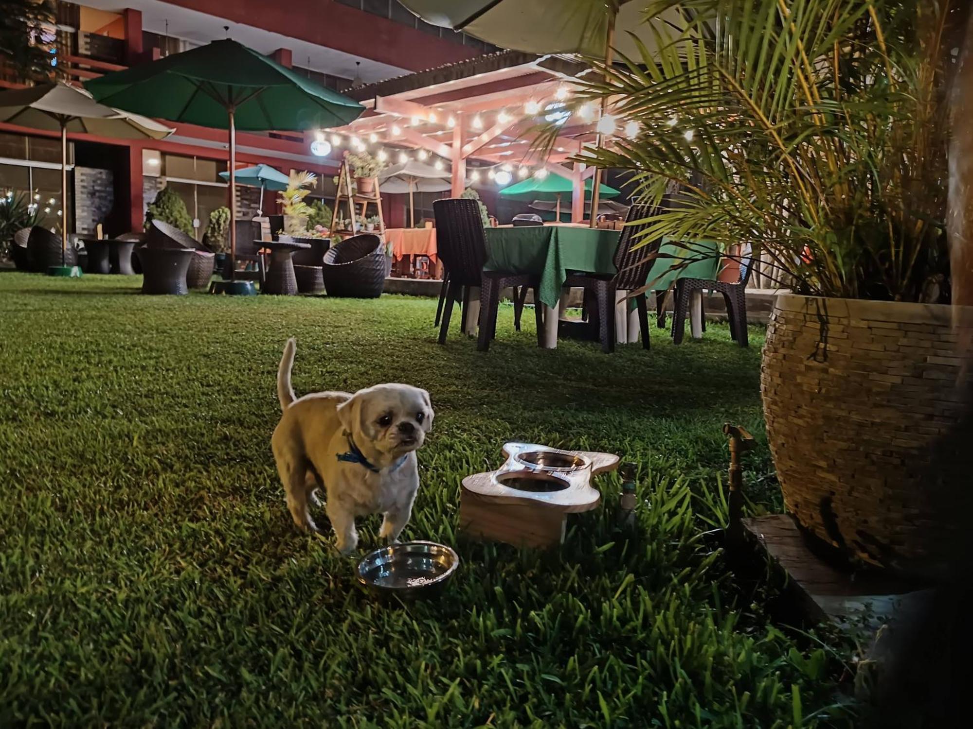 فندق Huertalejandro Restaurante Campestre Y Hospedaje سيينيغيلا المظهر الخارجي الصورة